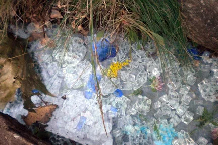 The Ice Pond in August