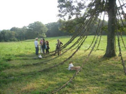 Lady Oak