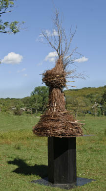 Flood Aftermath; Rebirth