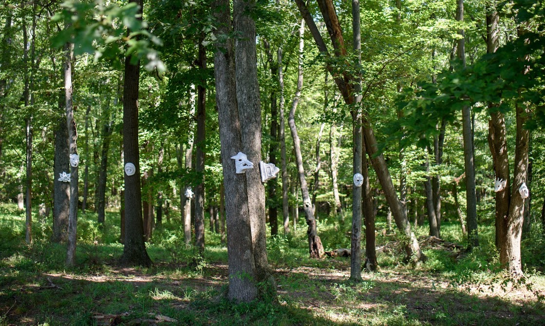 Anne Stanner - Forrest Spirits