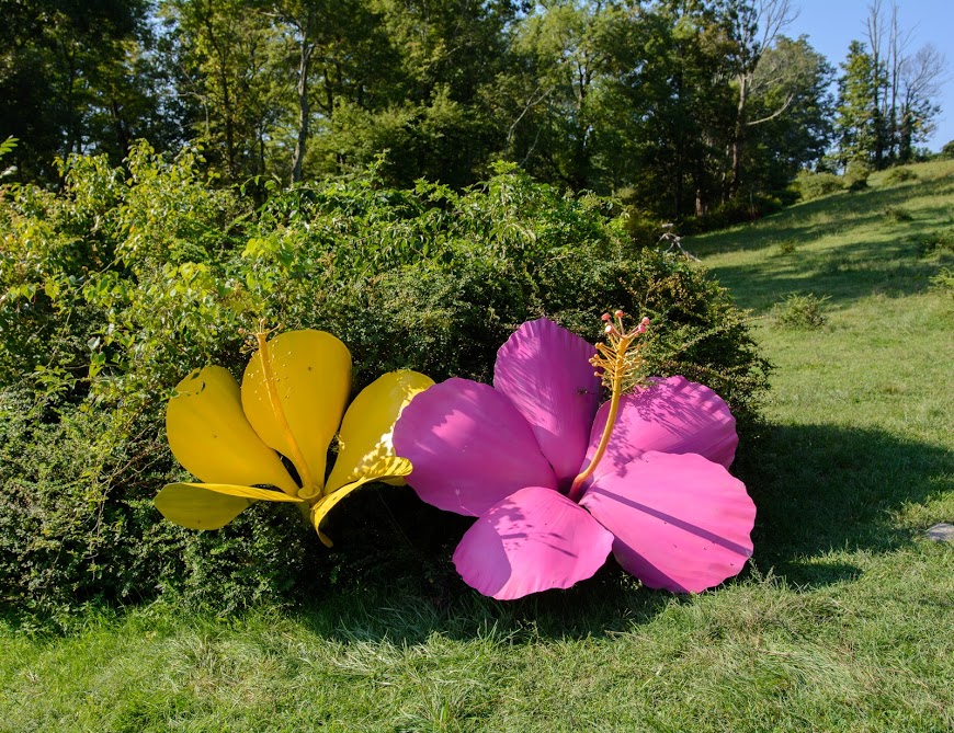 Chuck Von Schmidt - Hibiscus