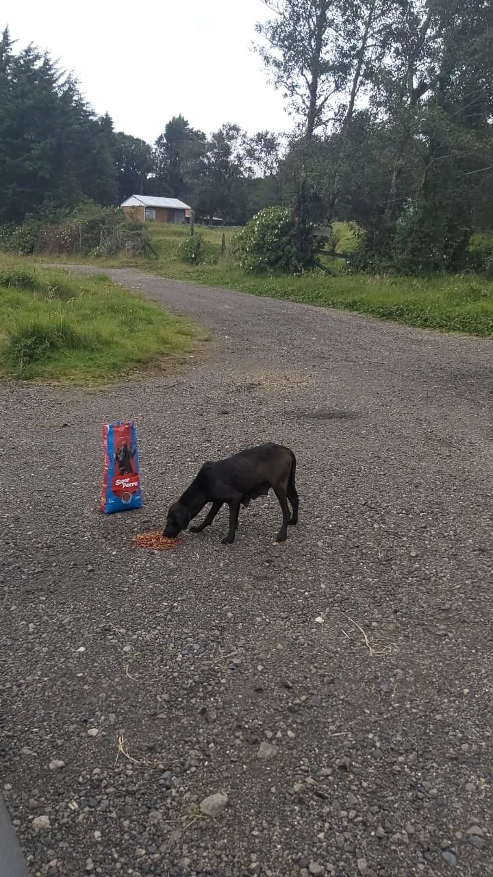 WhatsApp Image 2021-06-28 at 8.46.07 AM.jpeg