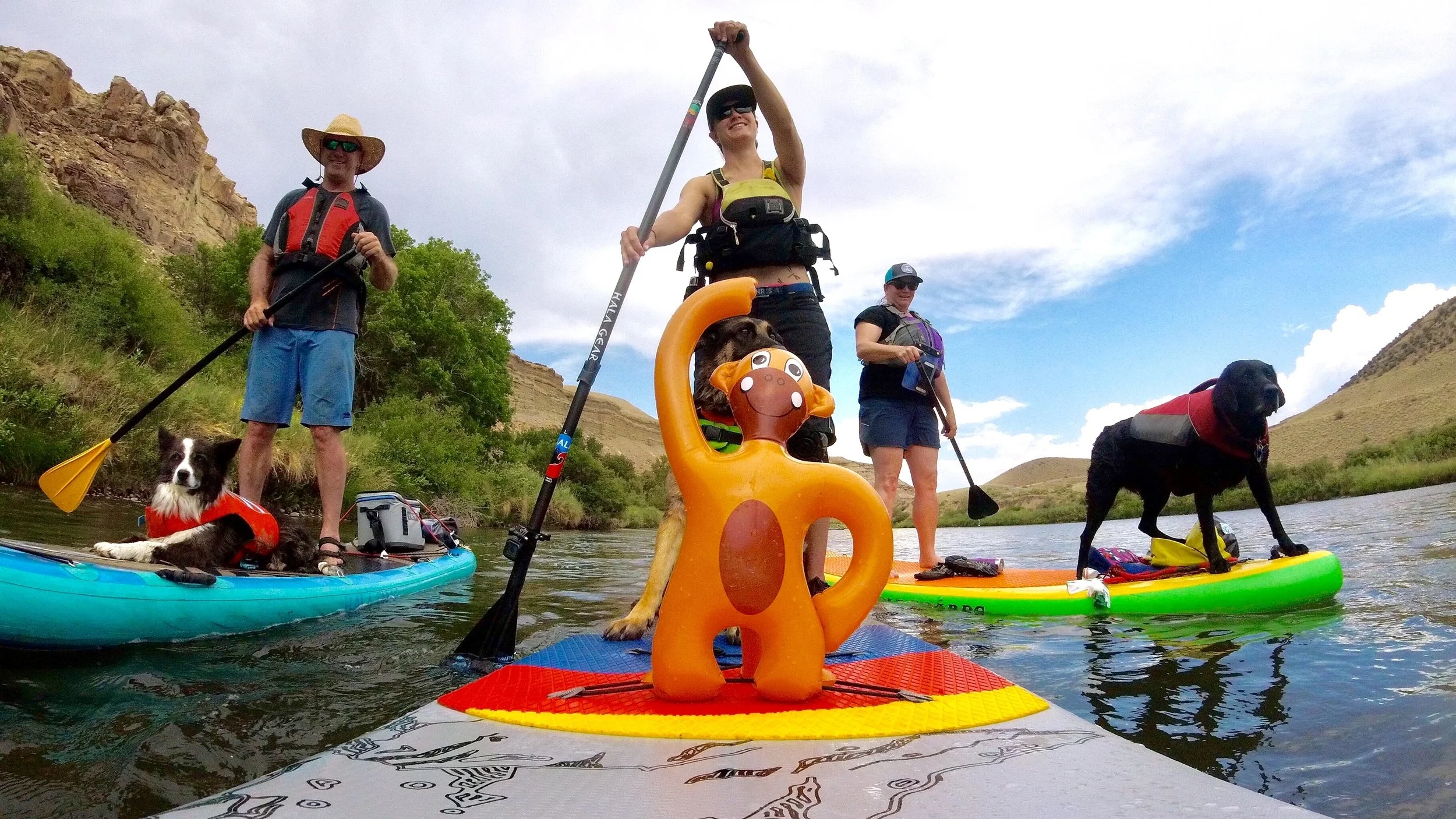 Stand up paddle board friend and their SUP dogs in Colorado's Western Slope on the Gunnison River near Delta.