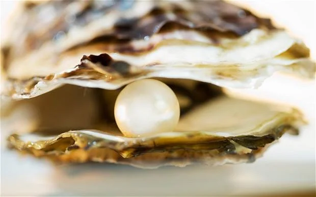 Oyster Party