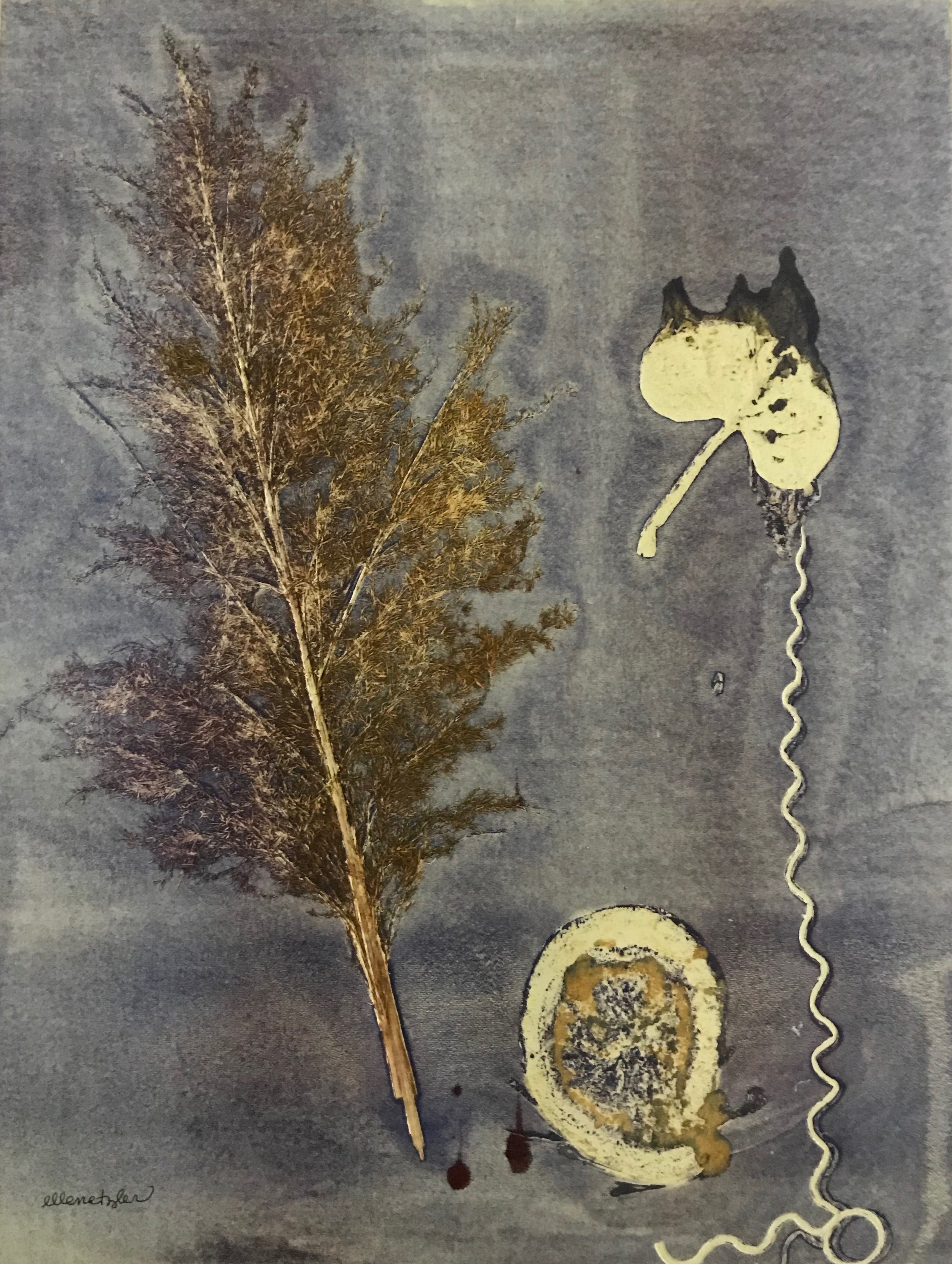 ELLEN ETZLER