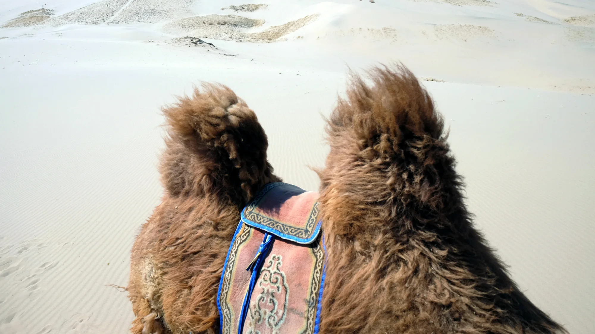 Humps