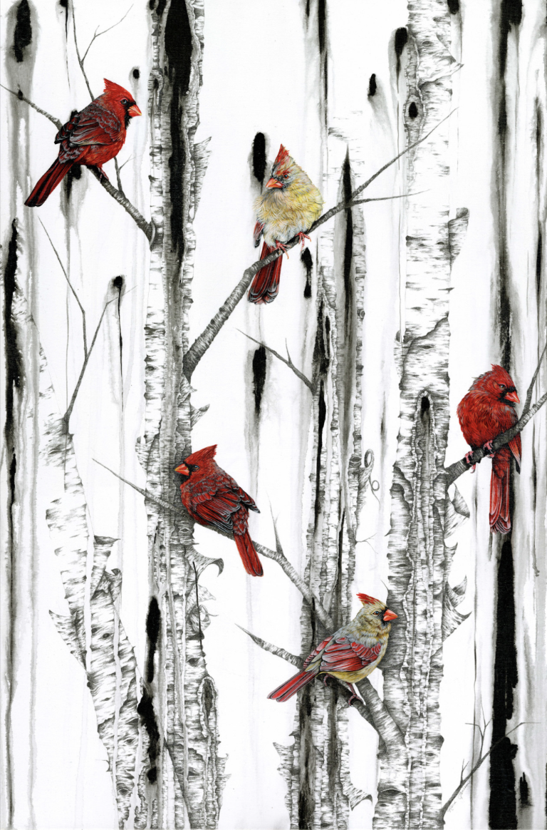 Karri Jamison PAF26.png