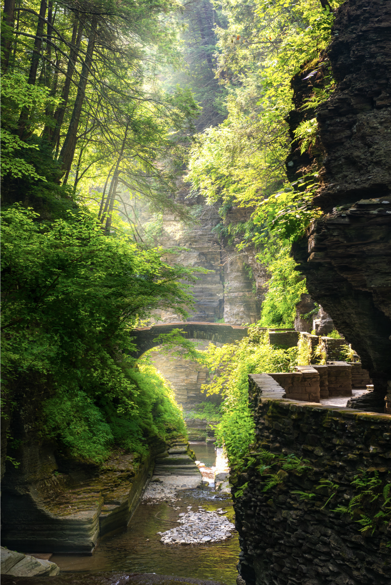 Jason Wallace Photography