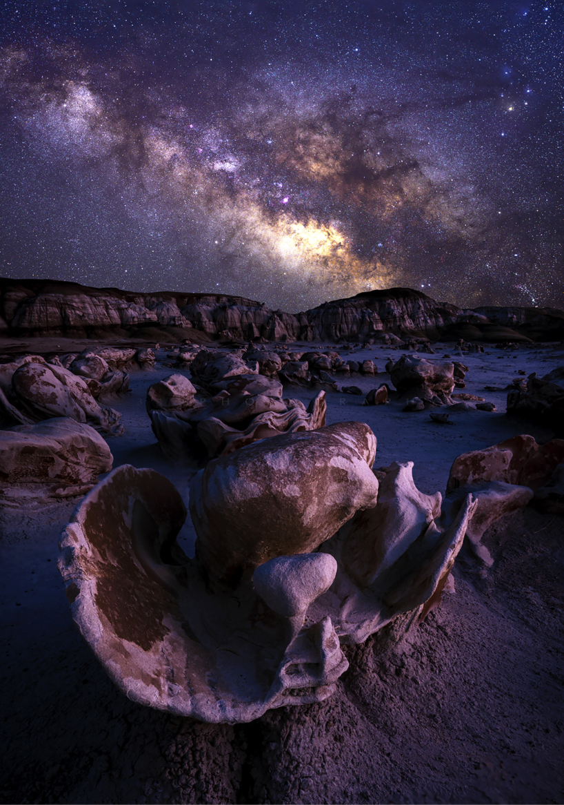 319 Photography, LLC