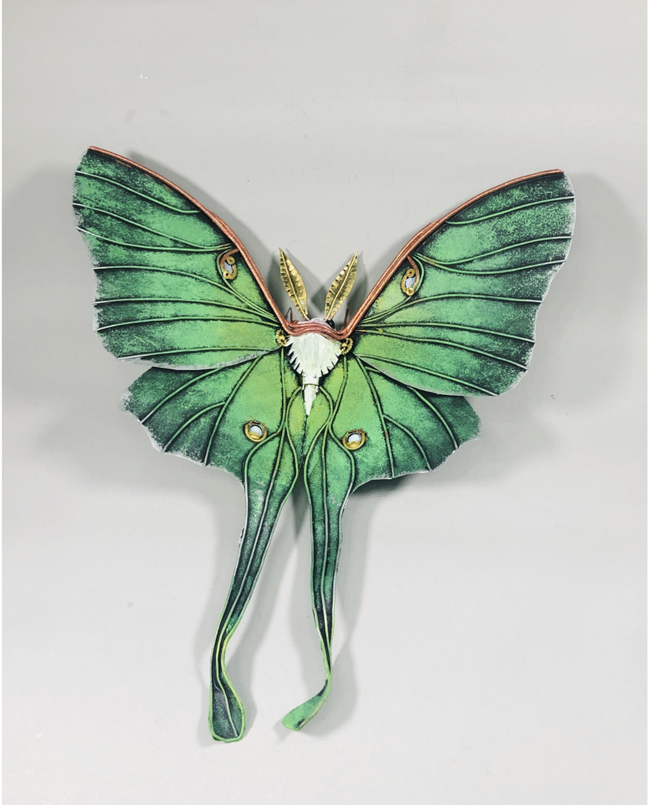 Metamorphosis by Joshua Cook