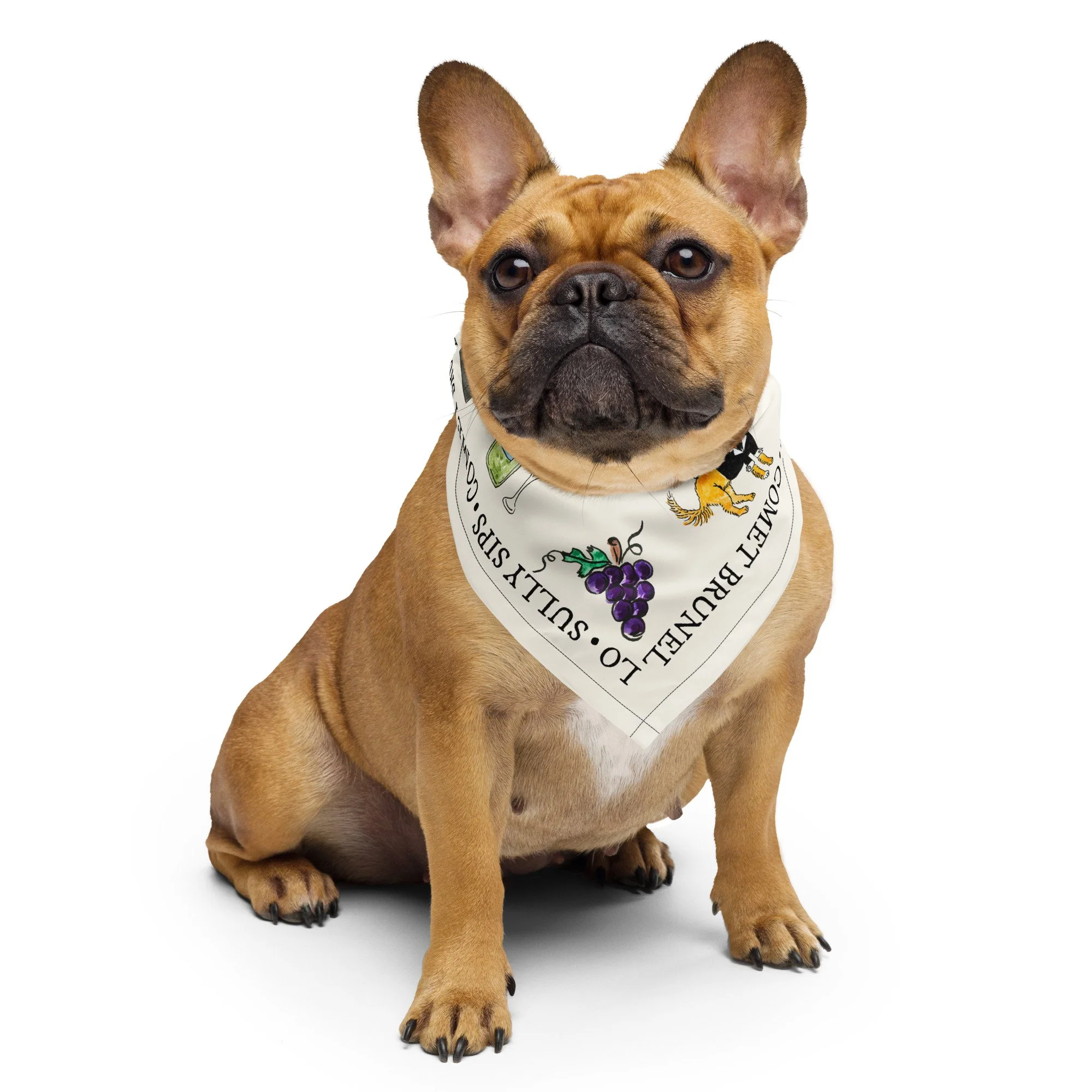 all-over-print-bandana-white-s-front-6a04a353d5120.jpg
