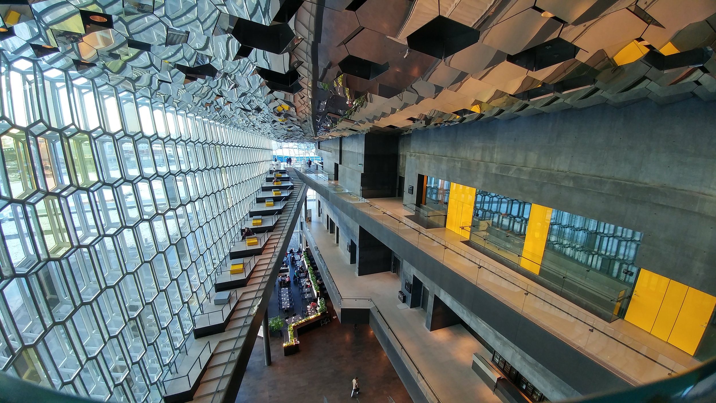 20170126_125231_HDR.jpg