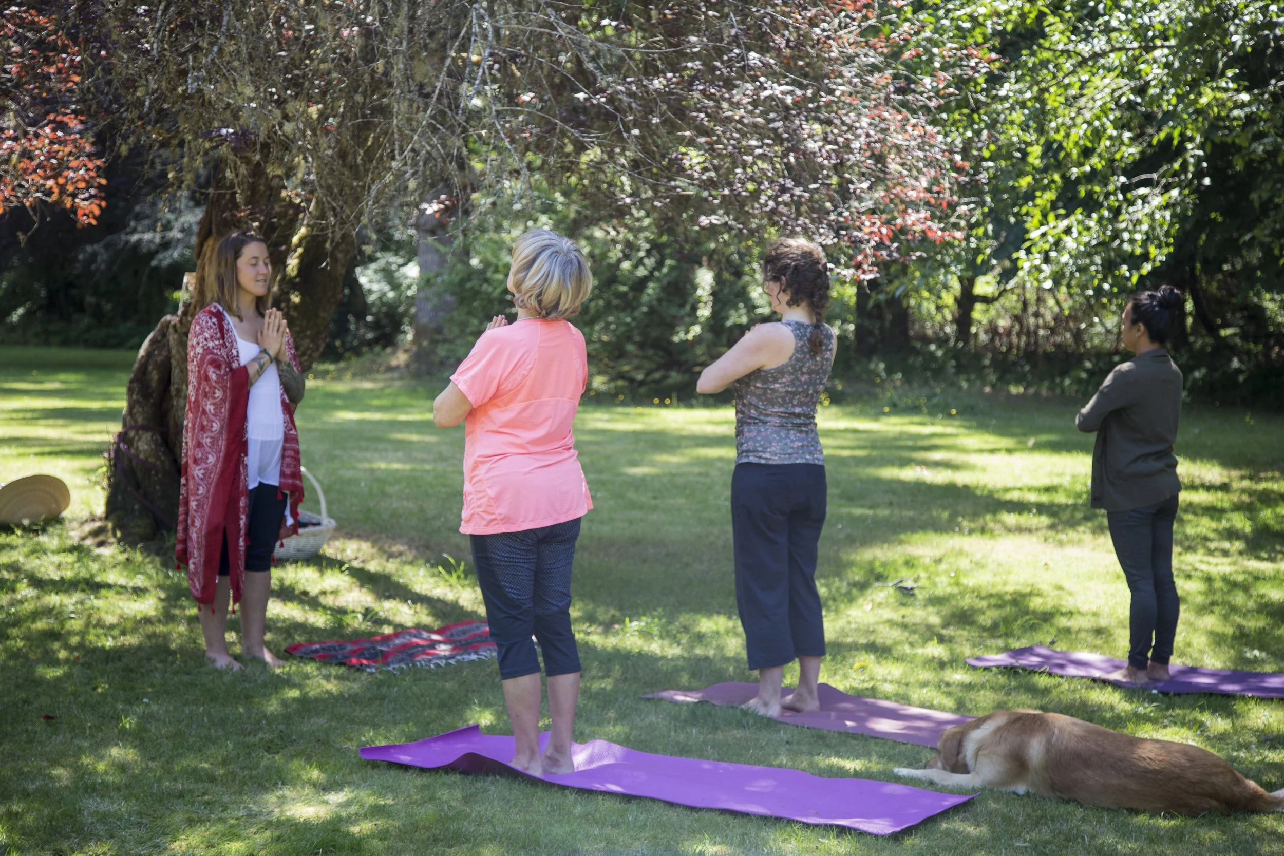 Sattva Yoga 13.jpg