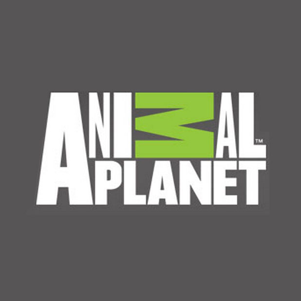 Animal Planet | Sound Designer & Mixer