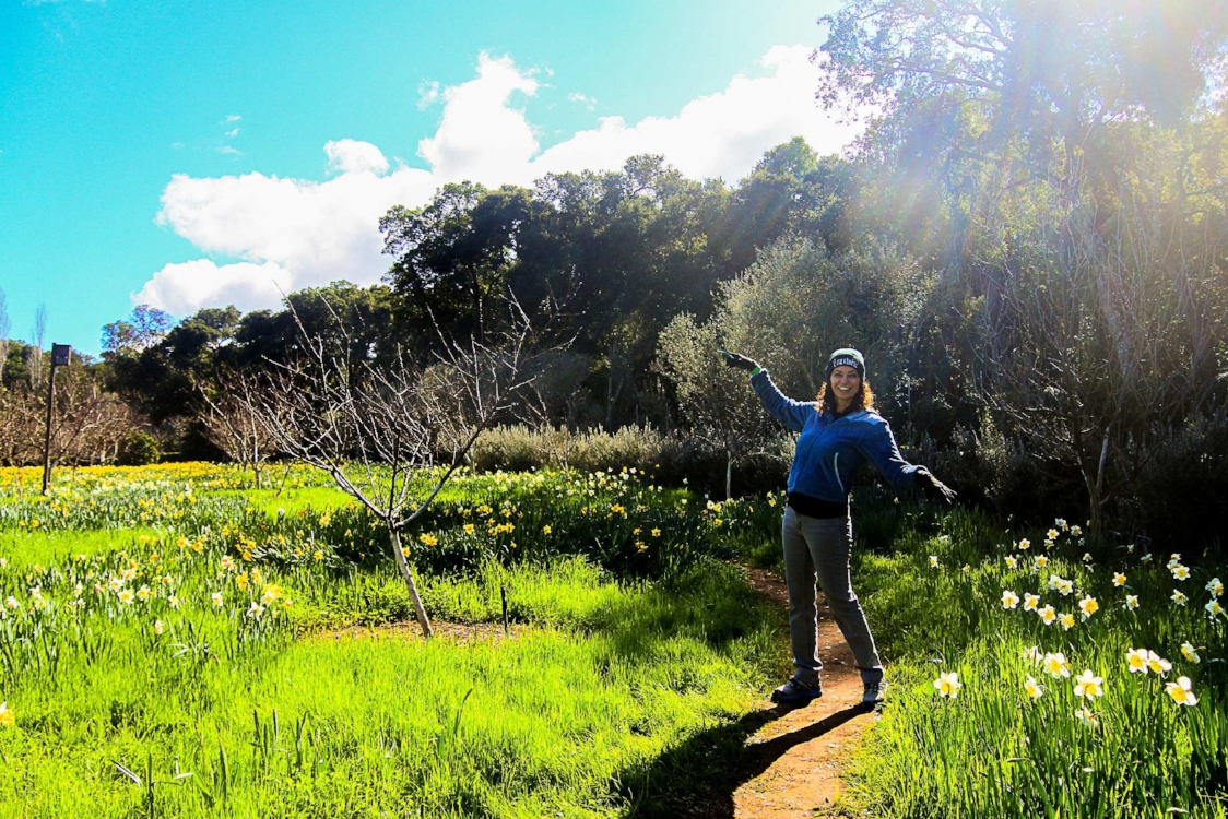 filoli.jpg