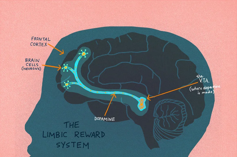 Anatomy Of Addiction: How Heroin And Opioids Hijack The Brain