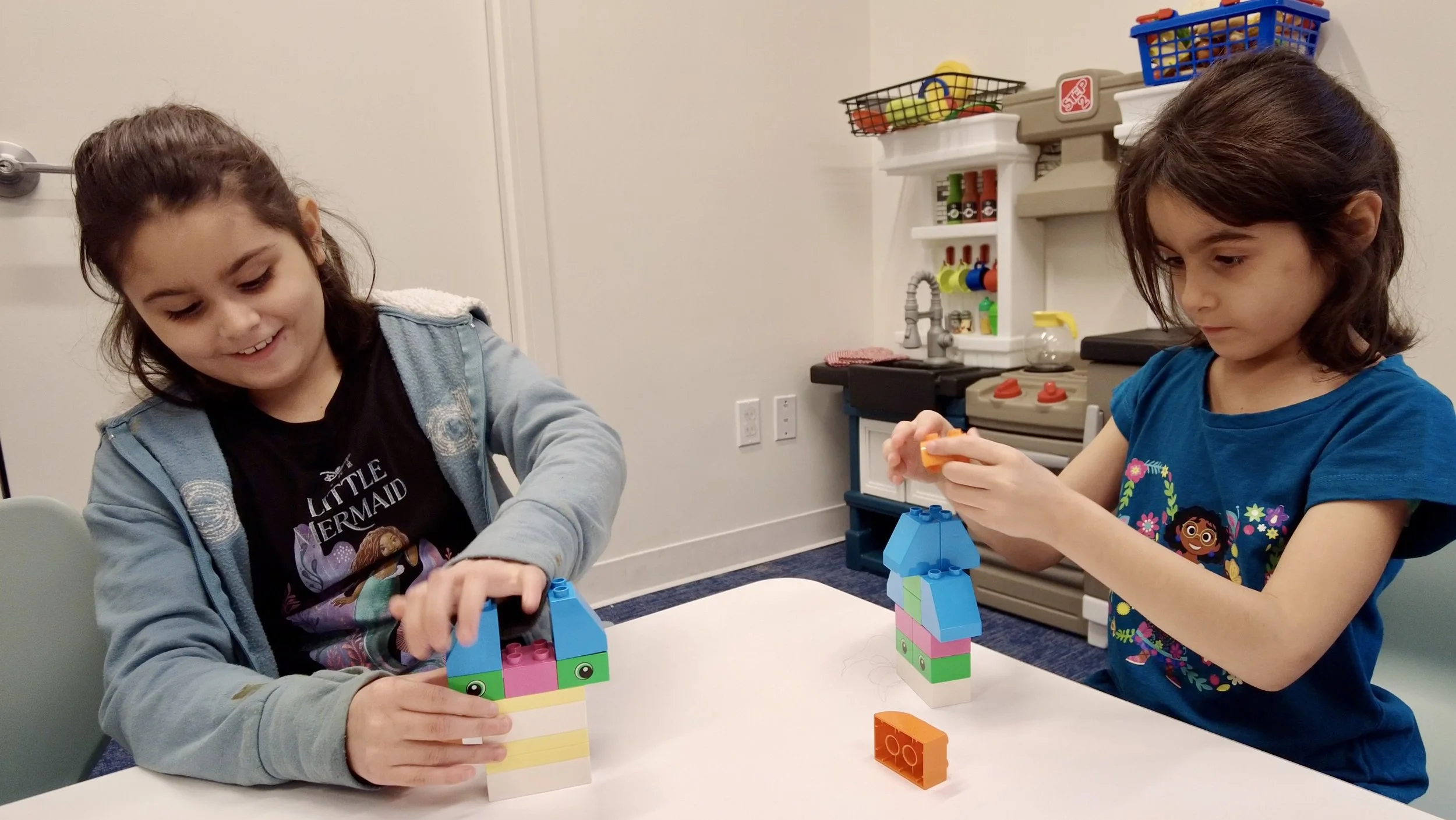 CCHP Lego 1.jpg