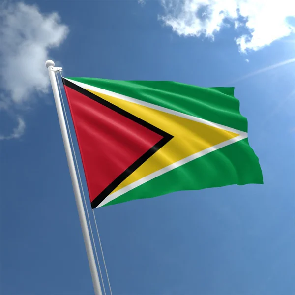 guyana-flag-std_1.jpg