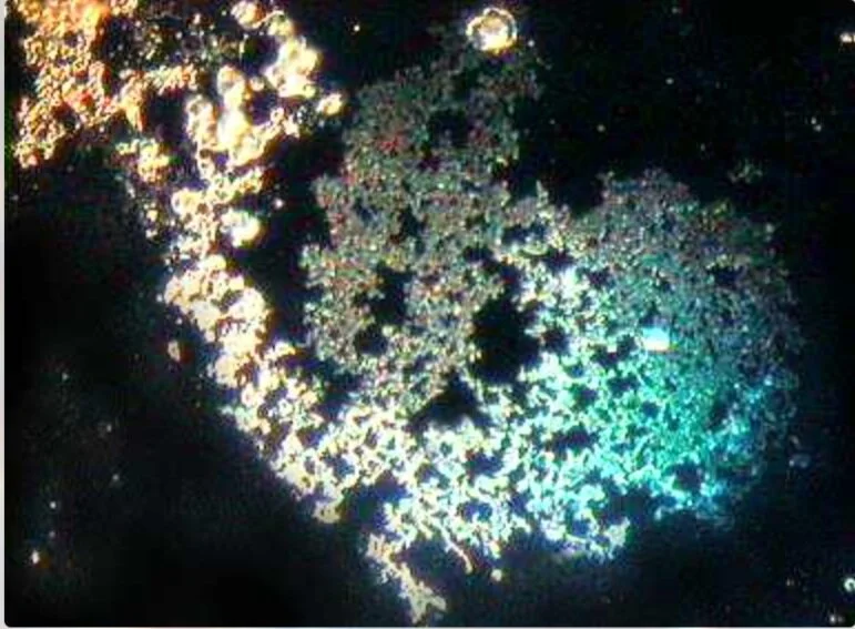 Screen Shot 2021-10-01 at 6.21.50 PM.png