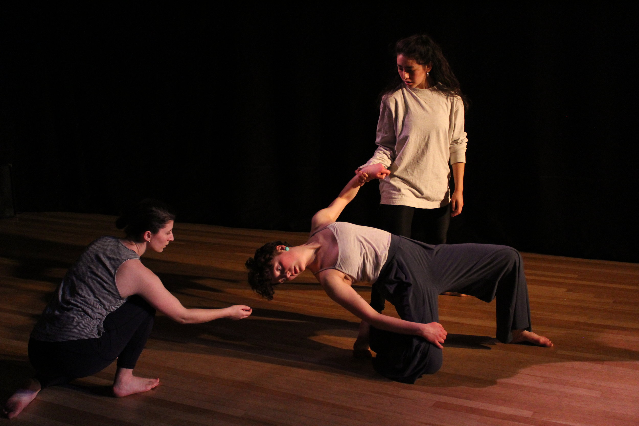    Futile Gestures      Dancers:    Dot Armstrong, Liana Kleinman, and Lea Torelli      Photo by Joseph Heitman of One Day Dance  