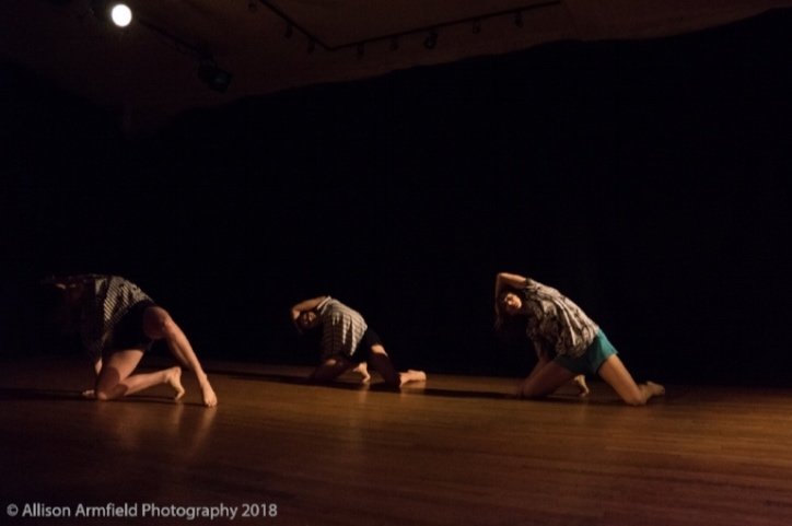    Dancers:    Cheyenne Freeman, Rebecka Hanson, Alexzandra Knapp     Choreographer:    Alexzandra Knapp    Photo by Allison Armfield Photography  