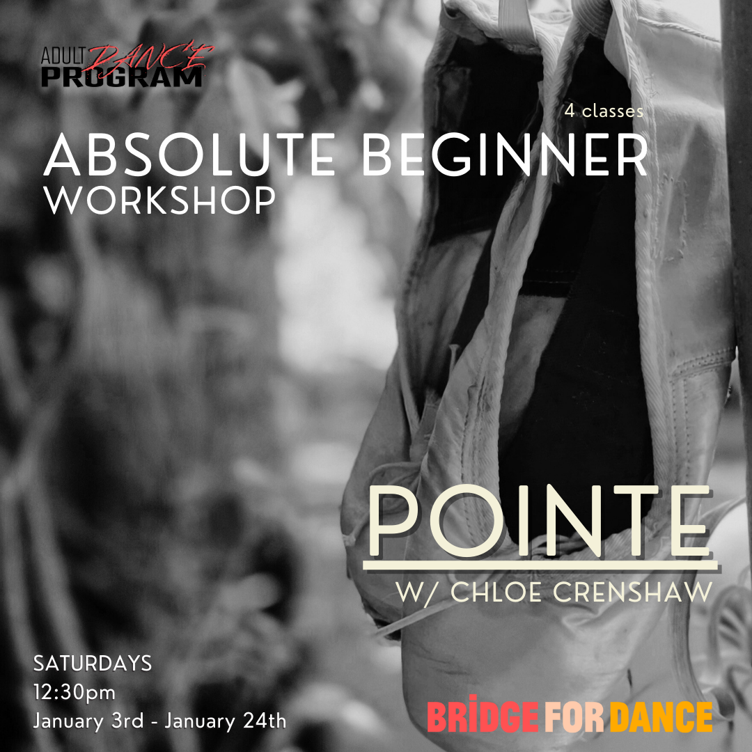 ABSOLUTE BEGINNER-3.png