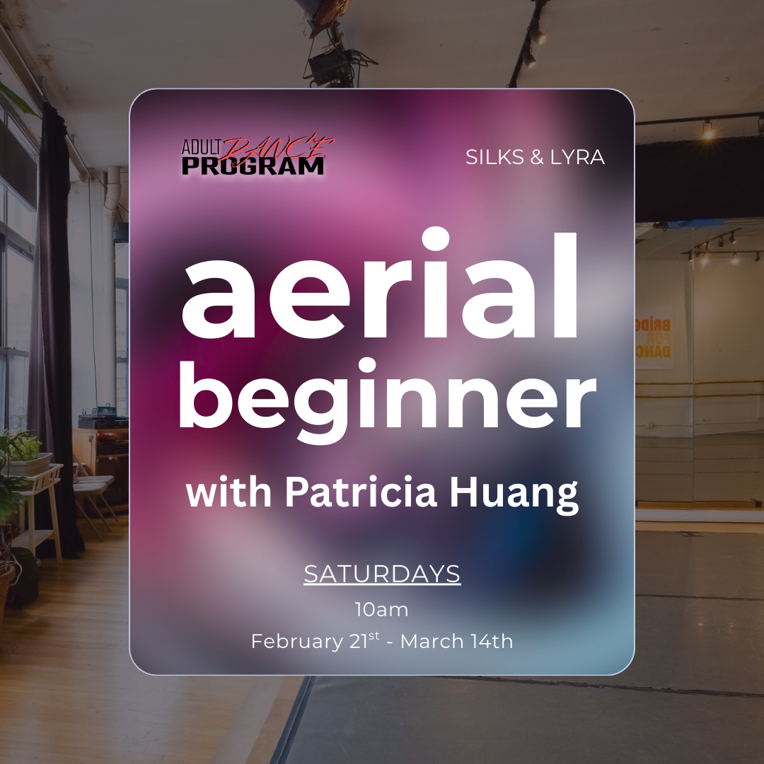 2026 Absolute Beginners-2.png