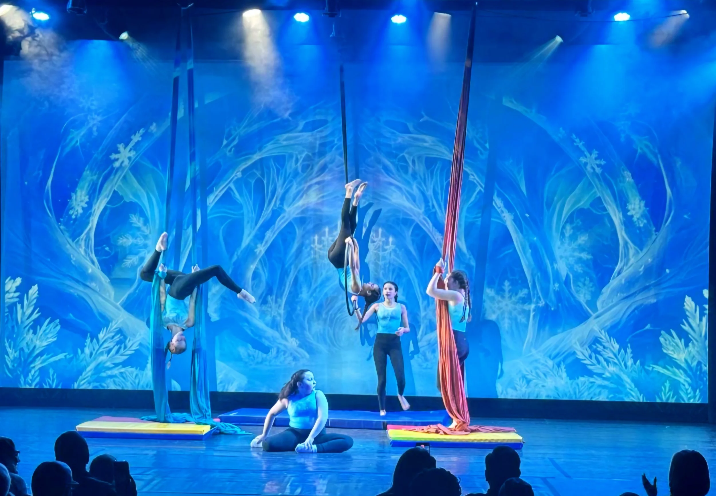 Three aerialists performing acrobatics on colorful silks and a ring against a blue background.