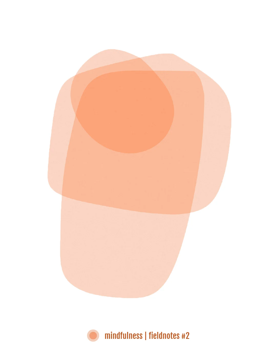 Fieldnotes - 2
