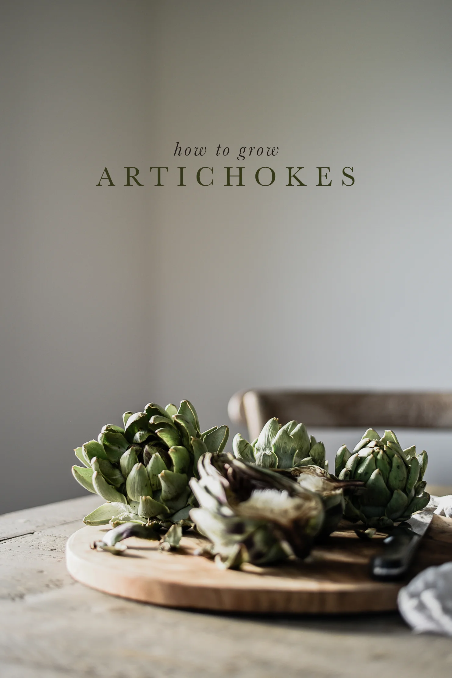 How to Grow Artichokes