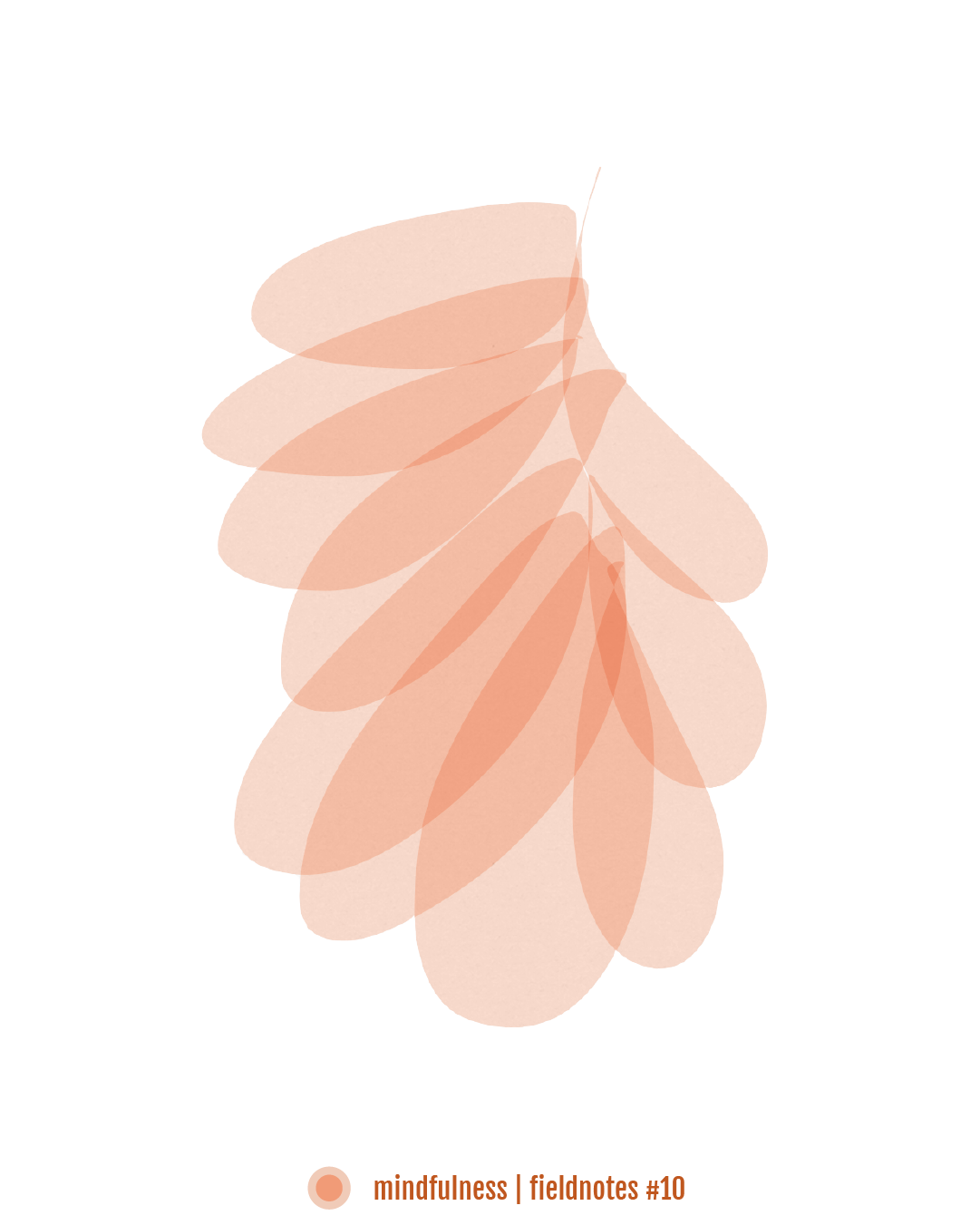 Fieldnotes - 10