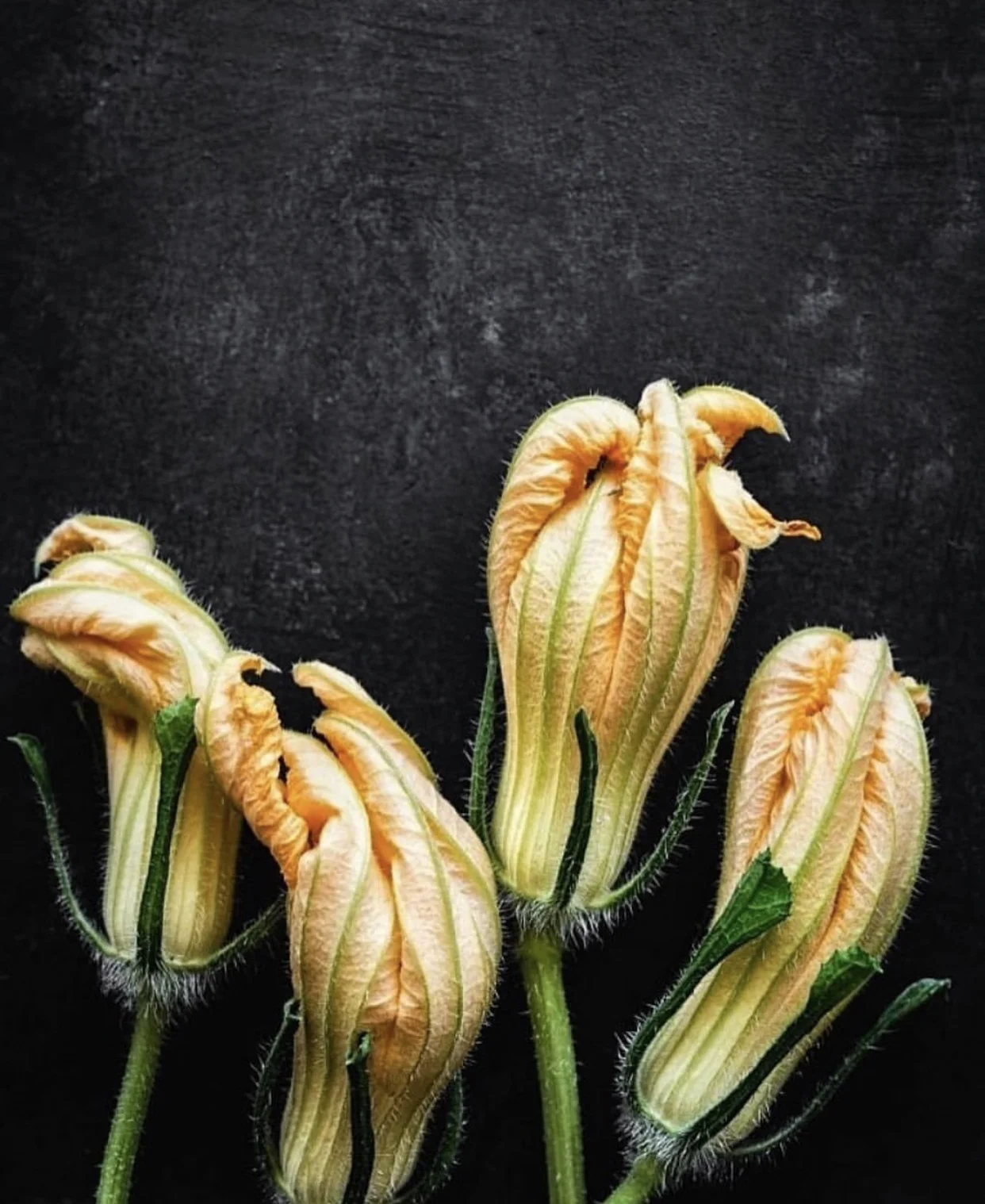 How to Cook "Stuffed Zucchini Flowers”