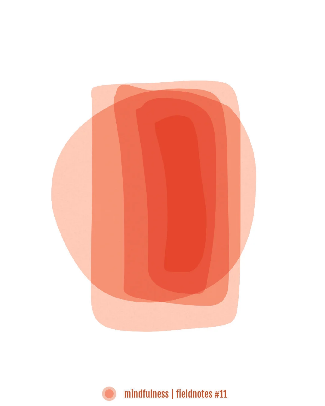 Fieldnotes - 11