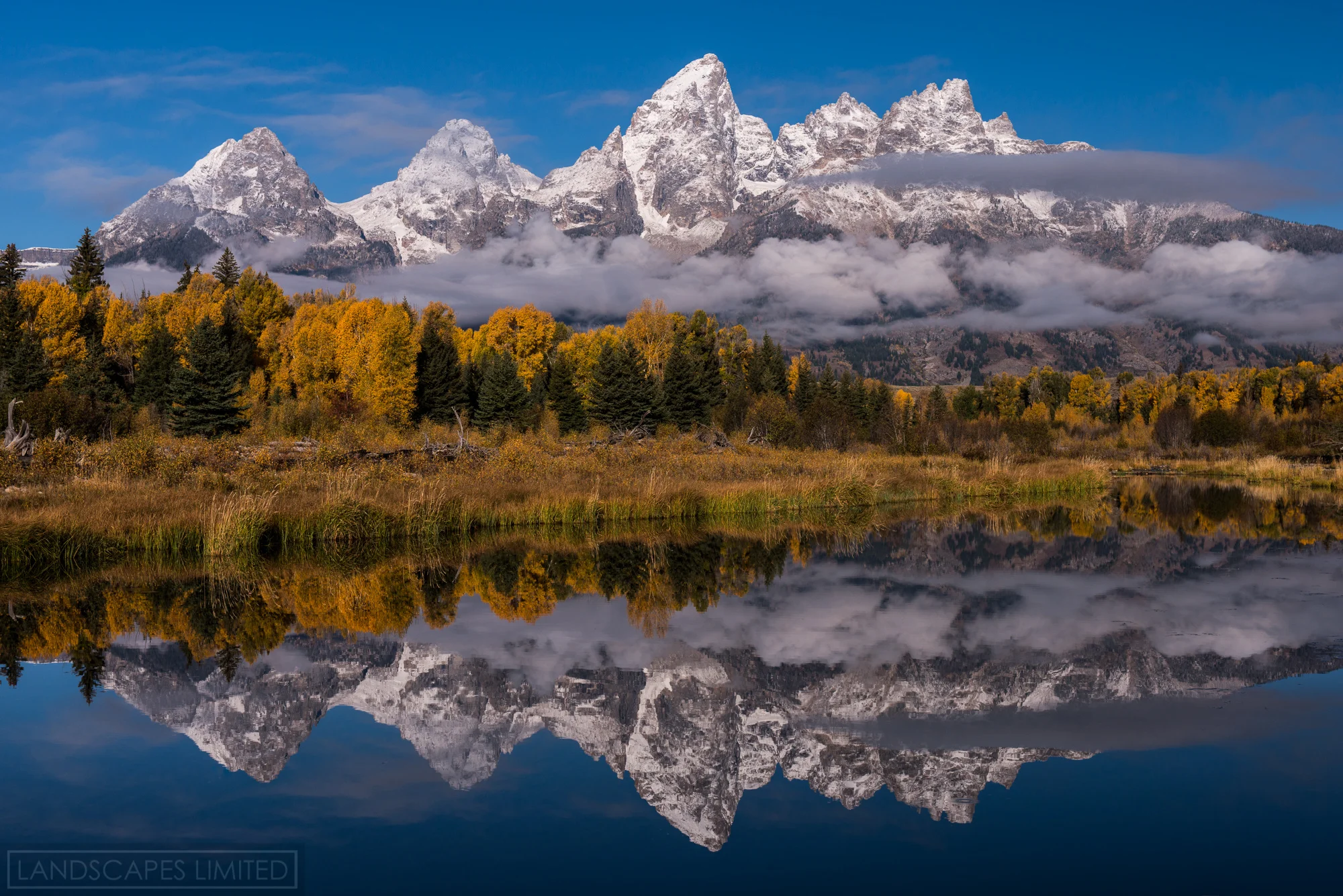 classic schwabachers (1 of 1).jpg