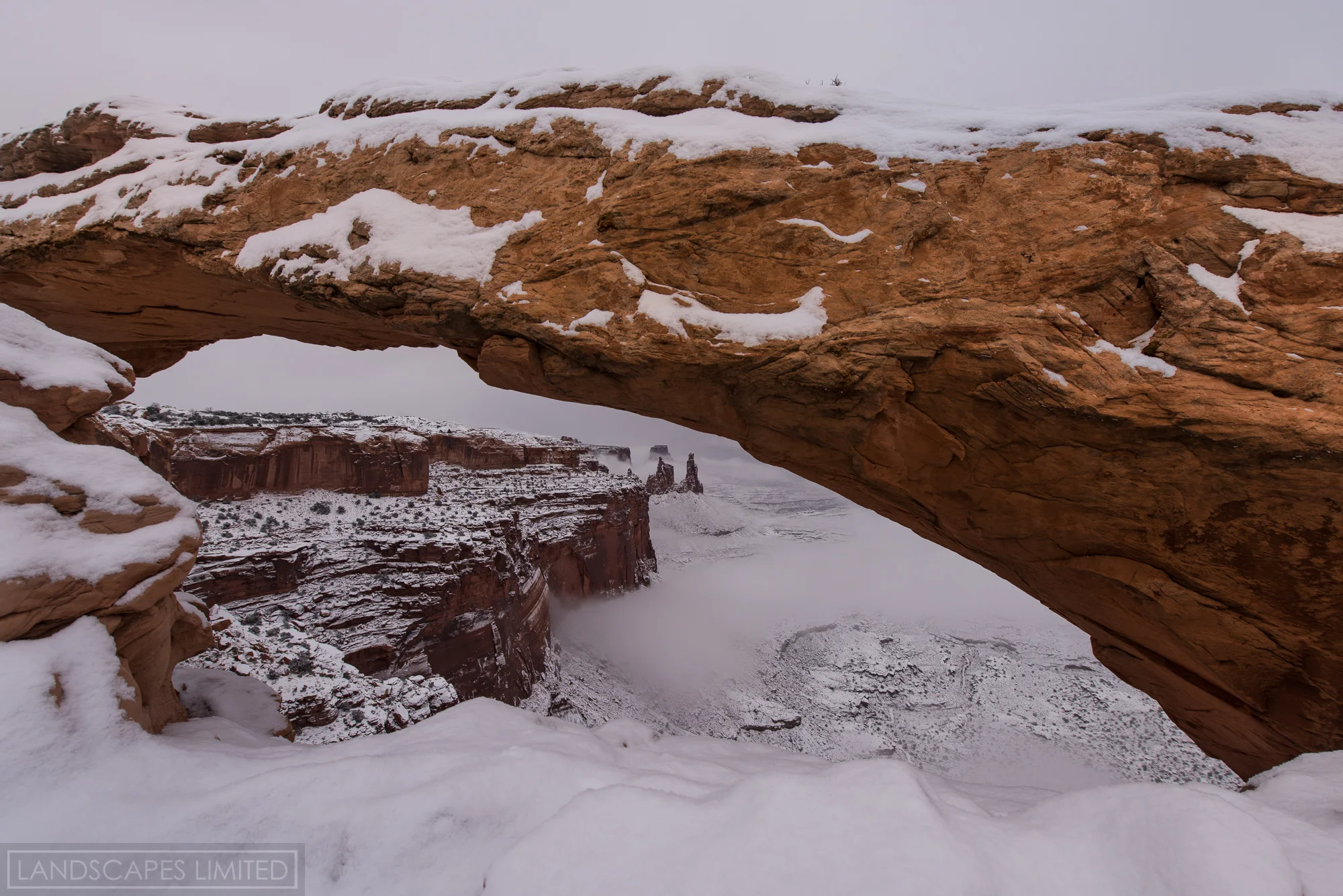 snowy icon (1 of 1).jpg