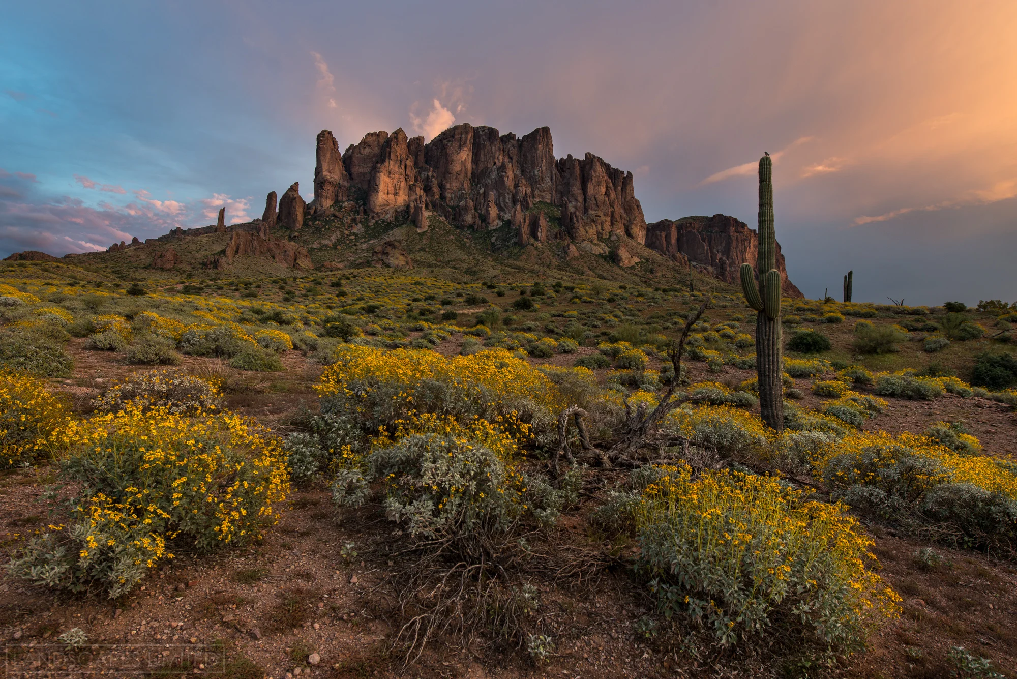 lost dutchman (1 of 1).jpg
