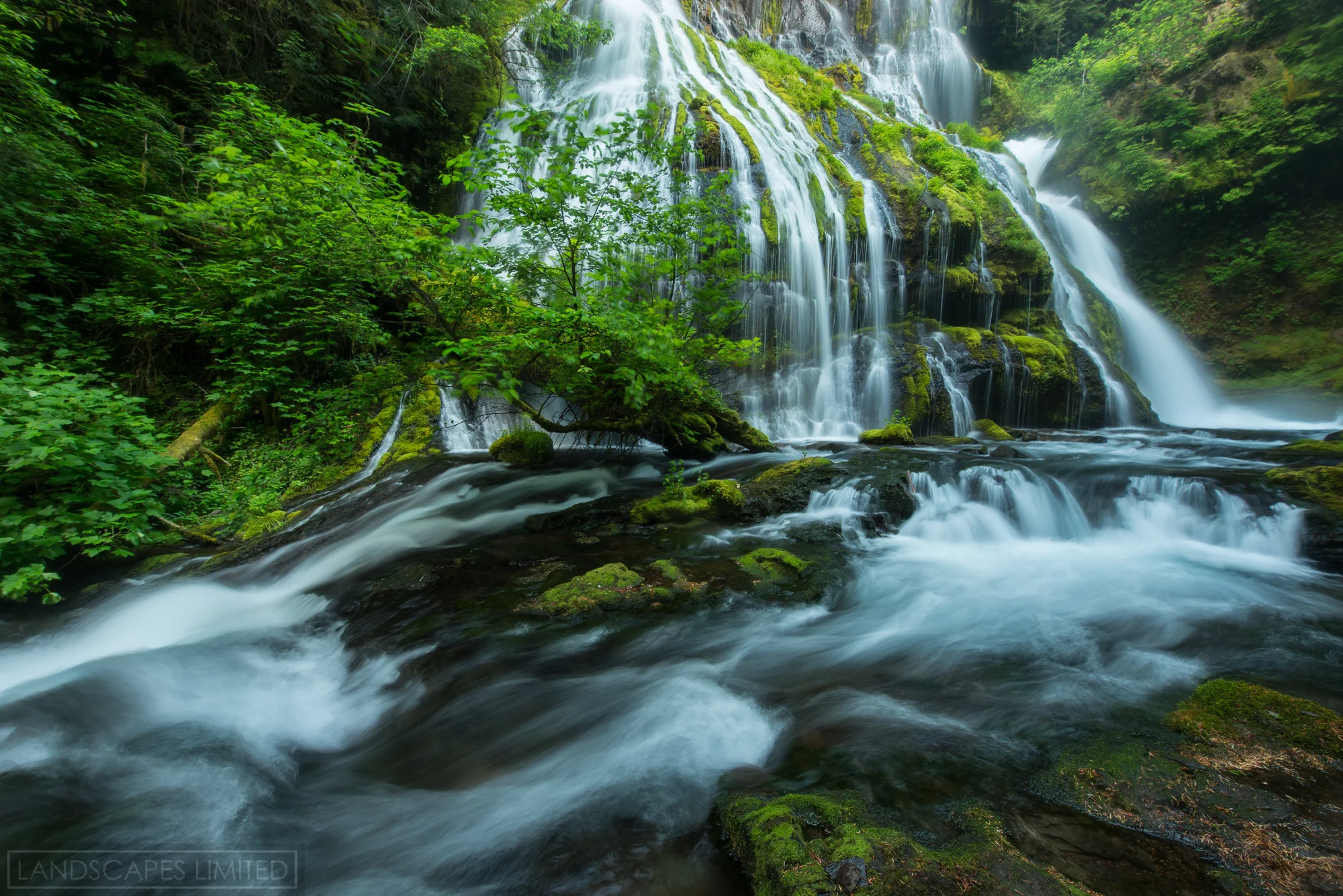 pcf flow (1 of 1).jpg