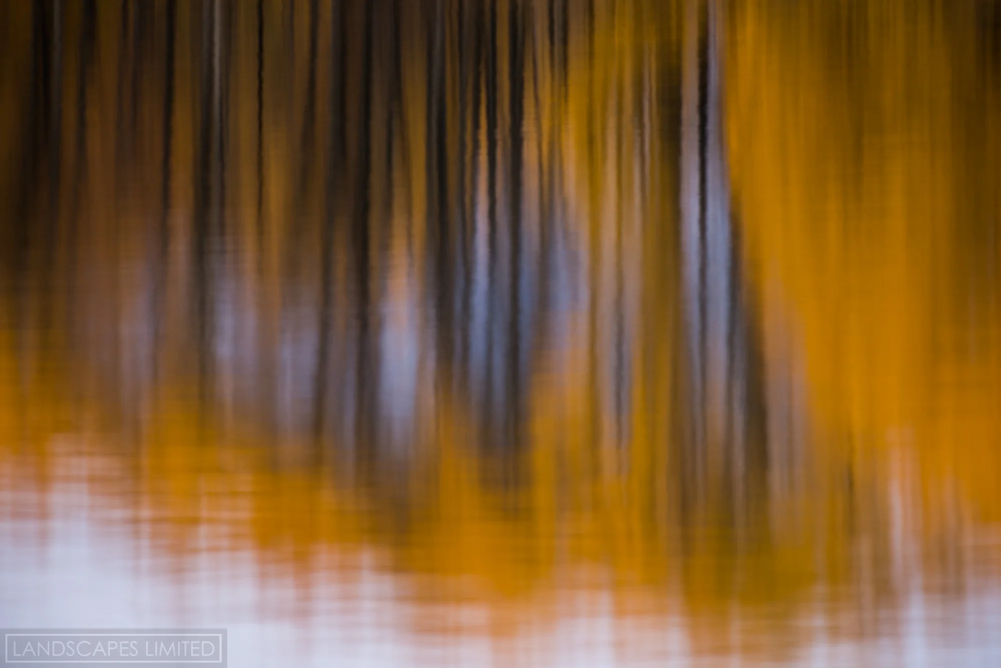 oxbow reflection (1 of 1).jpg