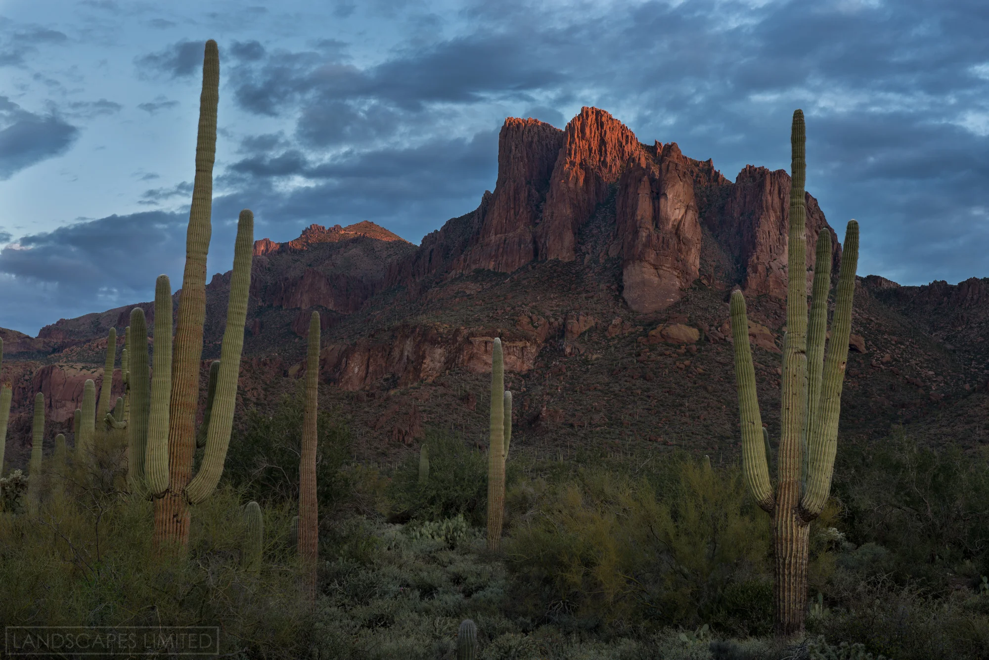 three sisters (1 of 1).jpg