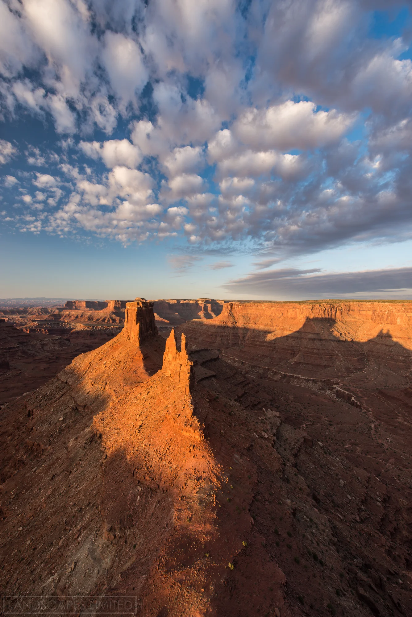 long shadows (1 of 1).jpg
