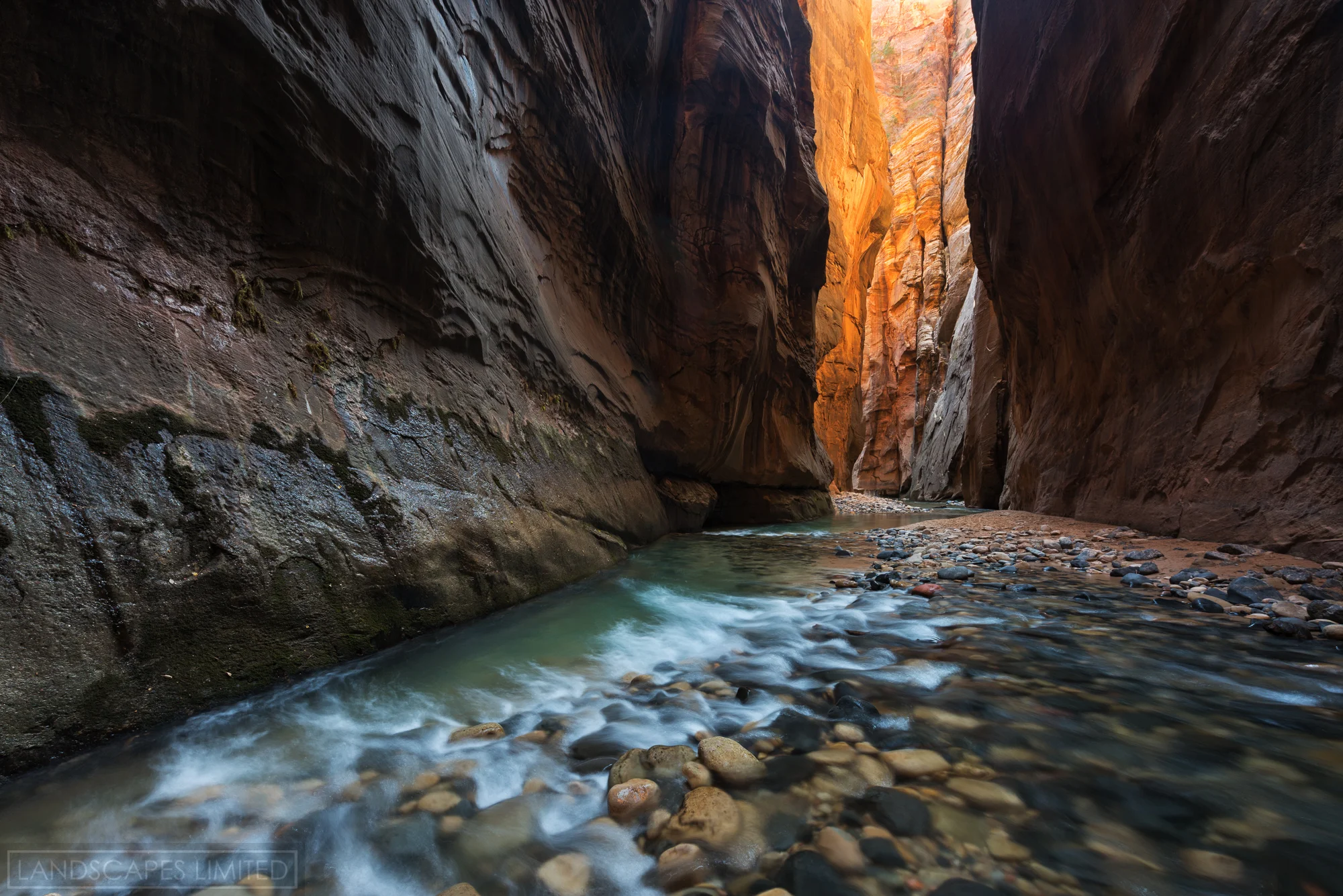 the way back (1 of 1).jpg