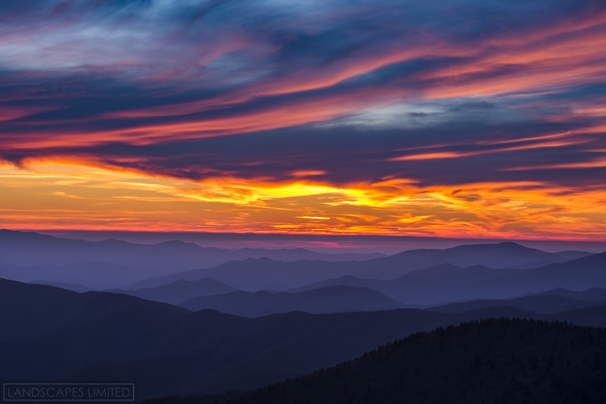 Smoky Dreams (1 of 1).jpg