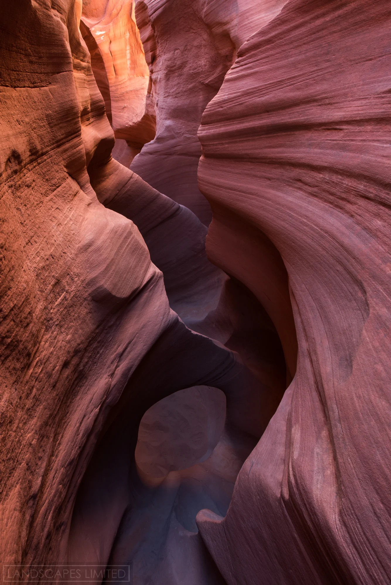 peek a boo flow (1 of 1).jpg