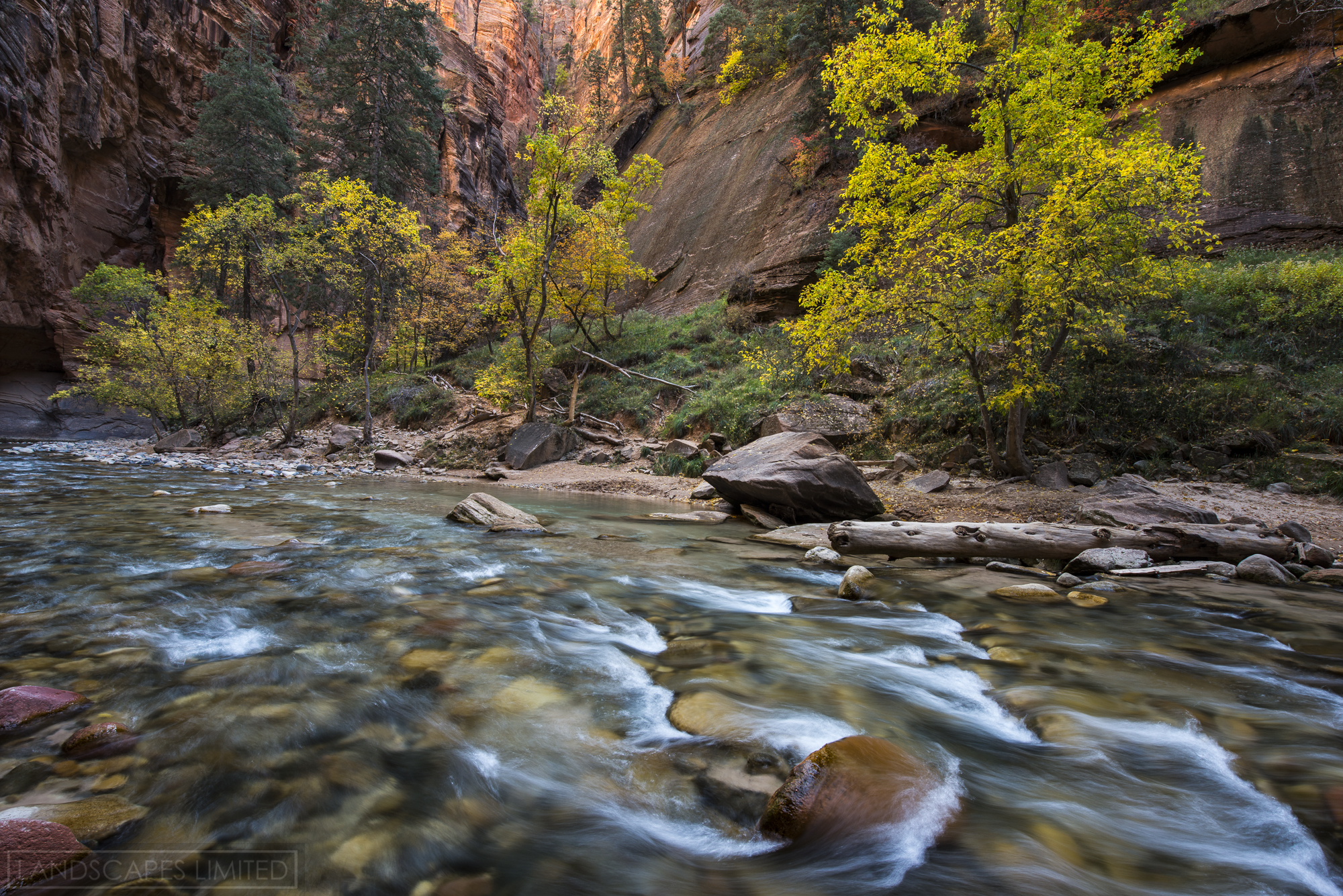 Zion Afternoon