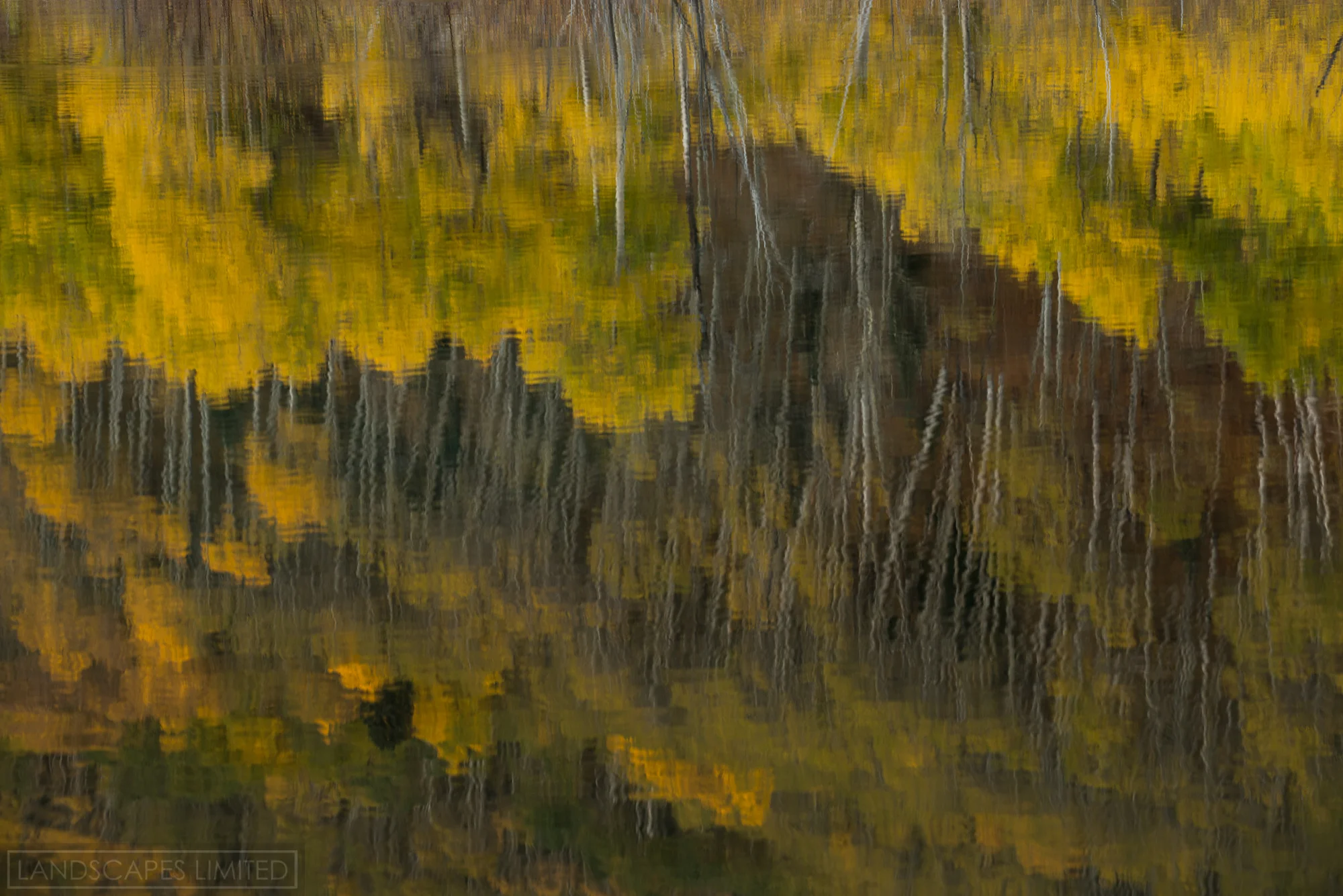 Impressions Of Fall