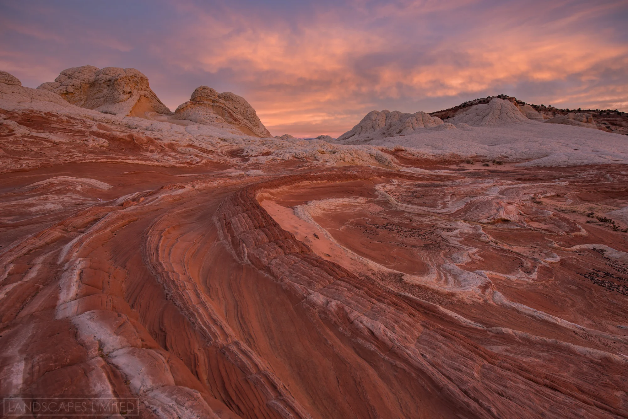 White Pocket Dawn