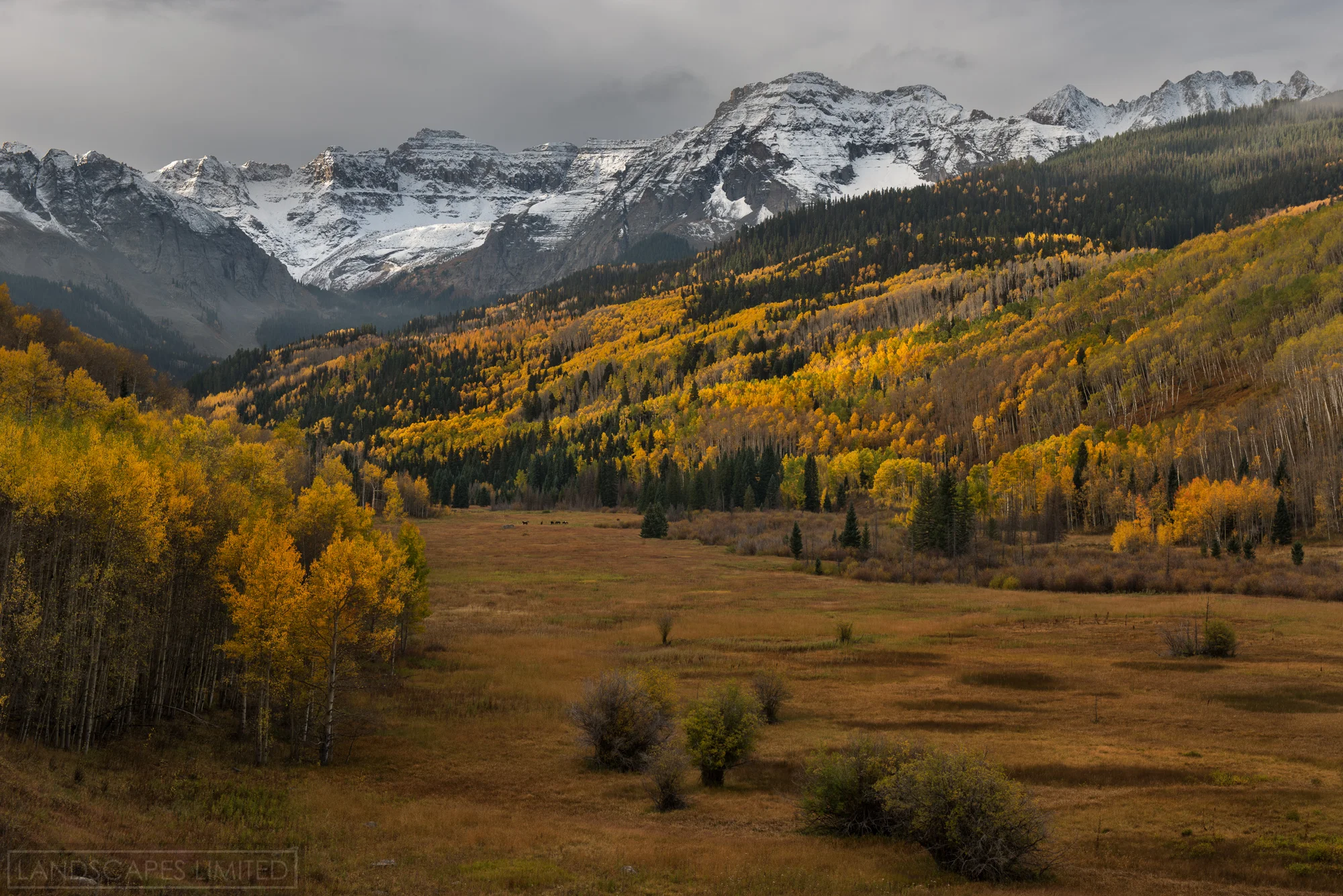 San Juan Meadows