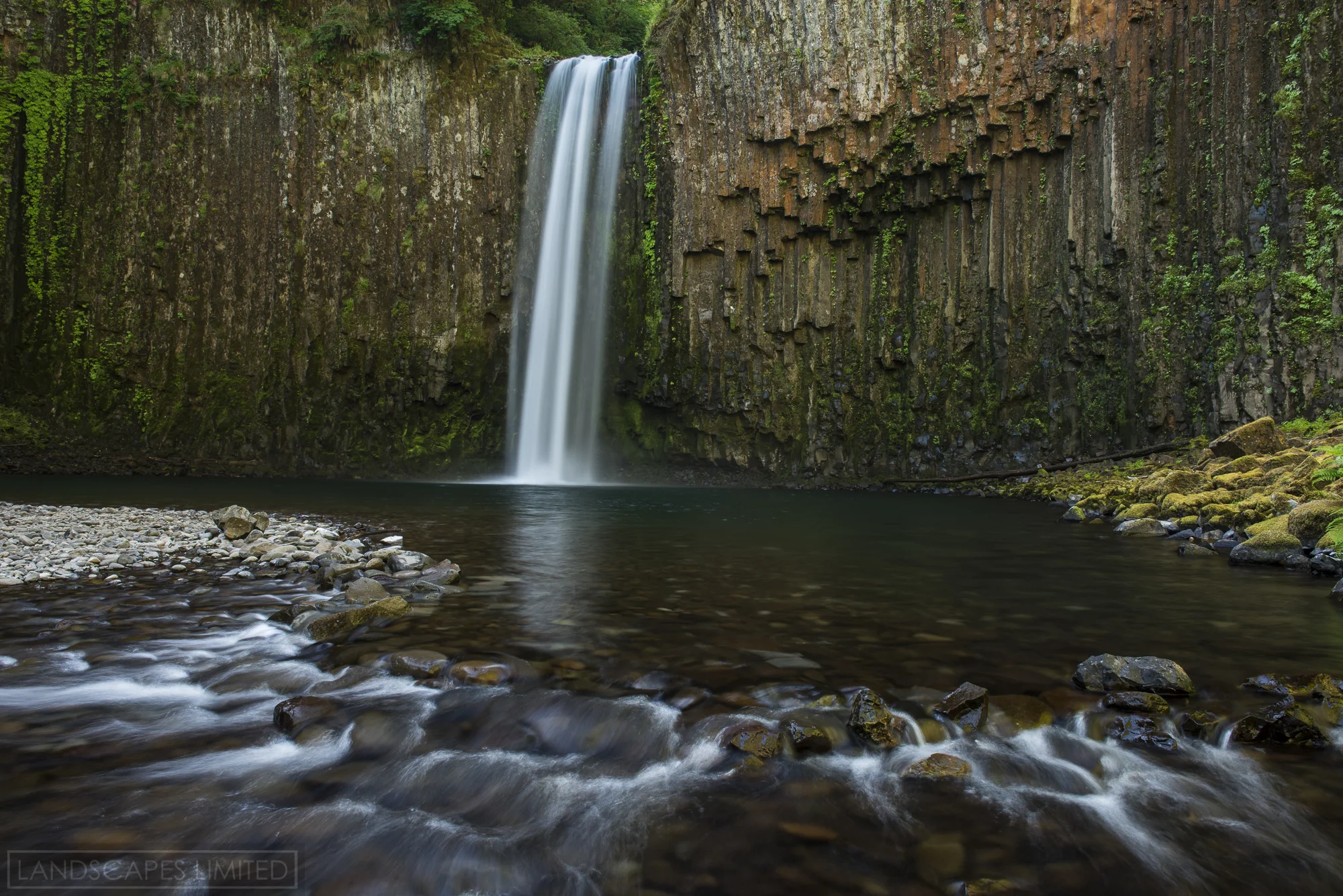 Abiqua (1 of 1).jpg