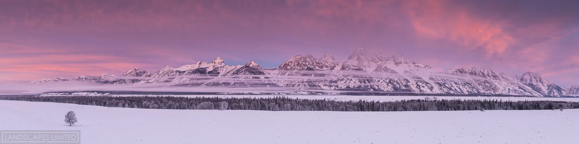 Teton Dream