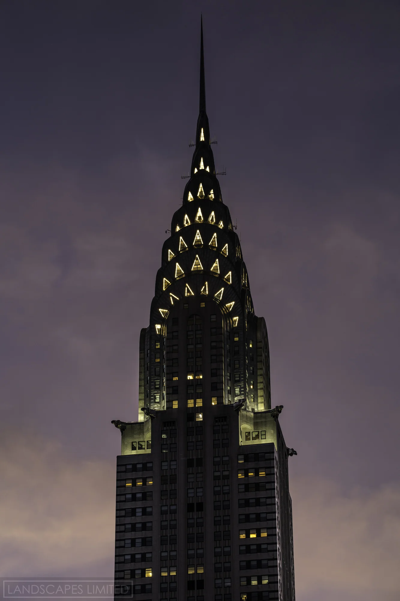 Icon (1 of 1).jpg